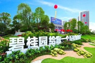 碧桂园爆料最新消息恩平,揭秘未来城市生活新篇章”