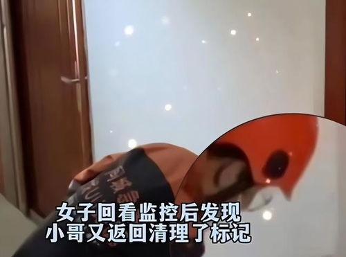 女子爆料被跟踪视频大全,惊心动魄的追踪与揭秘