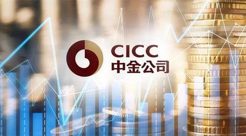 中金财富爆料新闻最新,最新财经动态解析