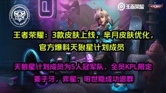 七款皮肤优化最新爆料,华丽蜕变，等你来鉴！